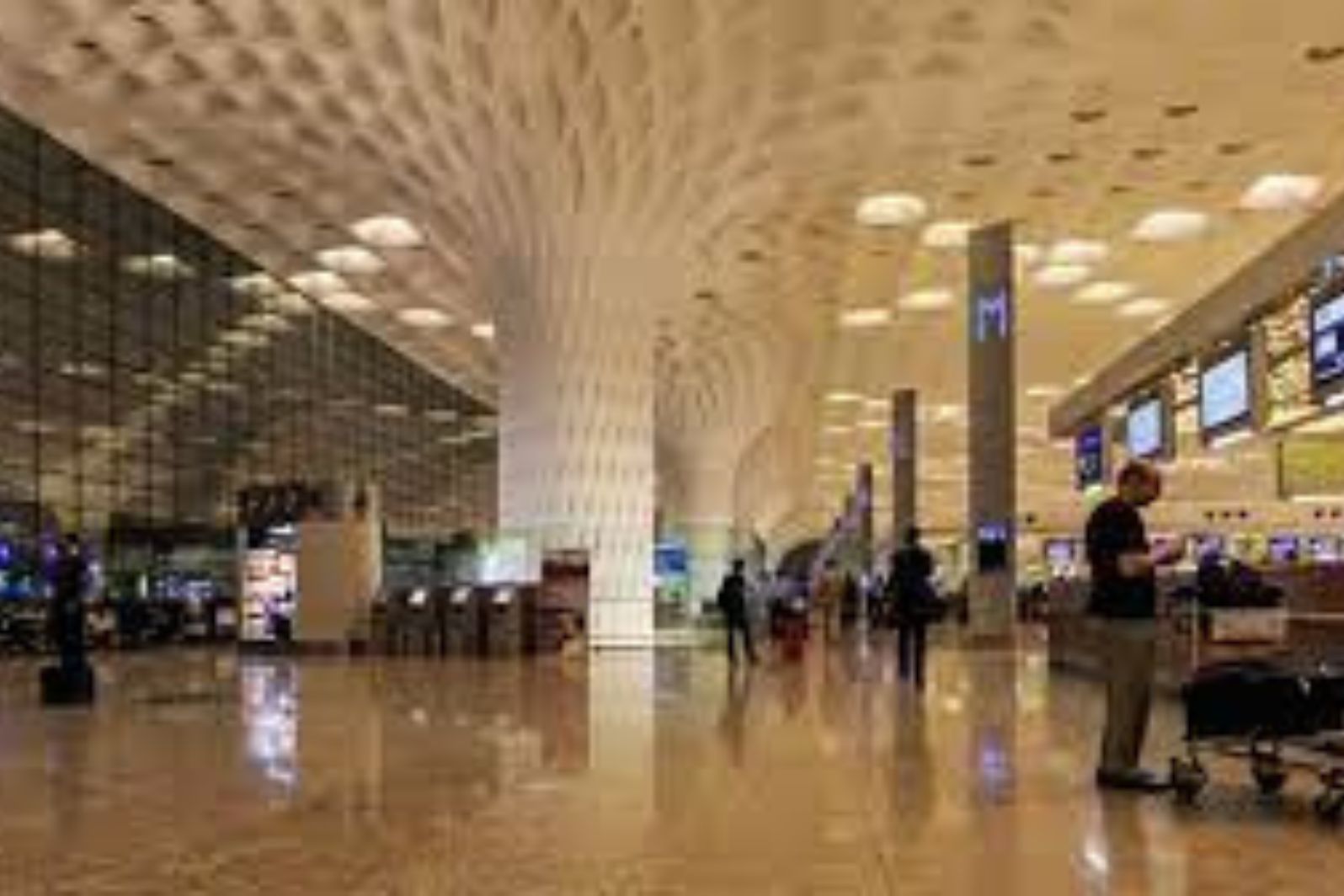 chhatrapati shivaji maharaj airport terminal 2