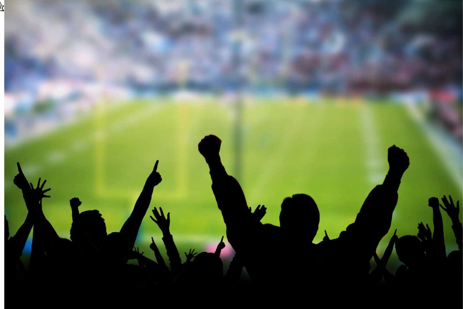 Fan Engagement Strategies in the Digital Age